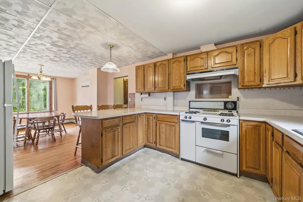 8 Norris Drive Swan Lake, NY 12783