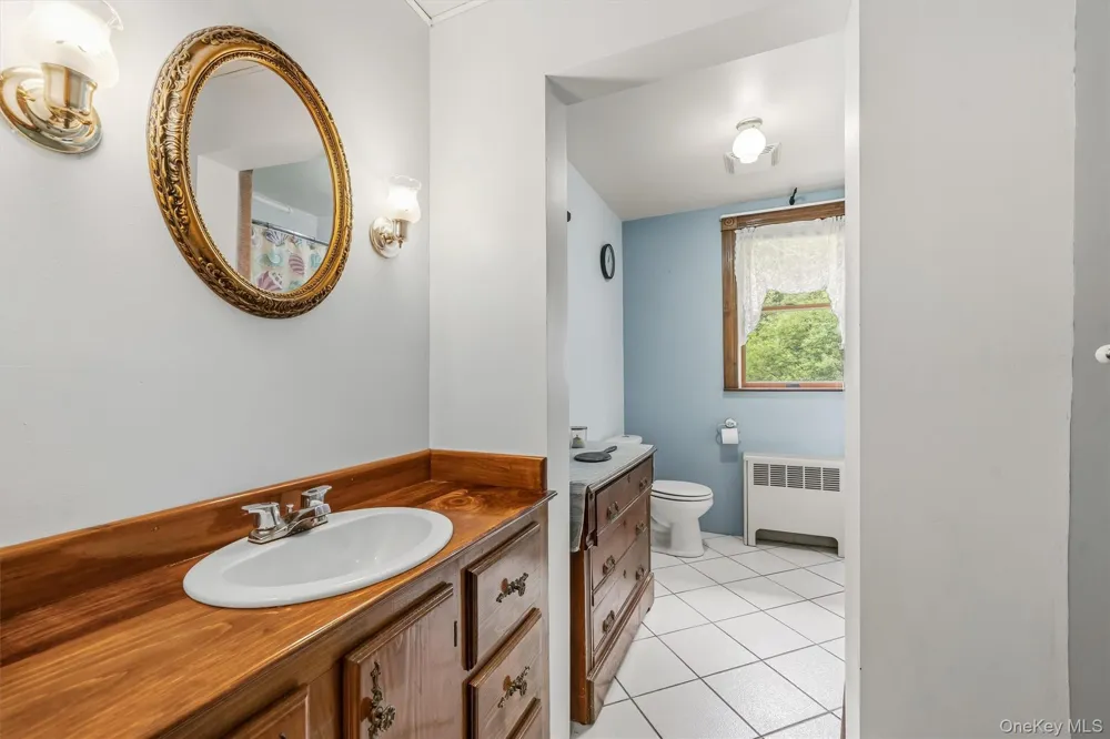 8 Norris Drive Swan Lake, NY 12783