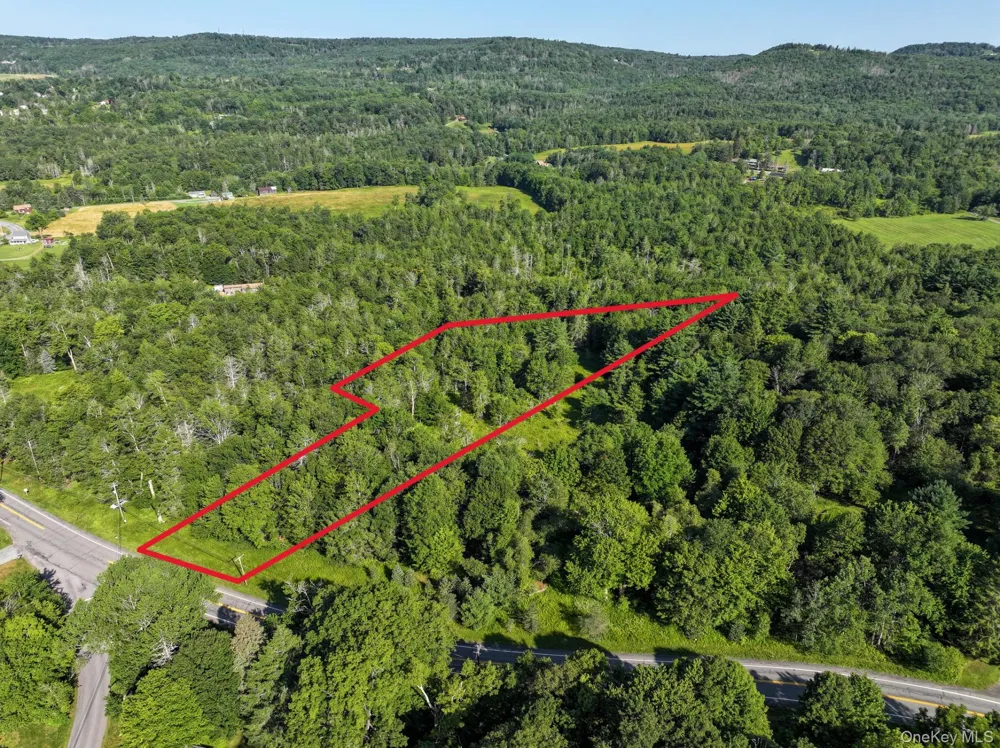 LOT 3 Neversink Road Liberty, NY 12754