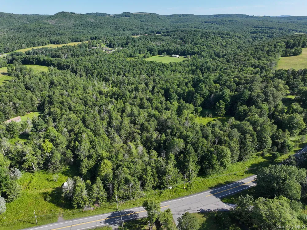 LOT 3 Neversink Road Liberty, NY 12754