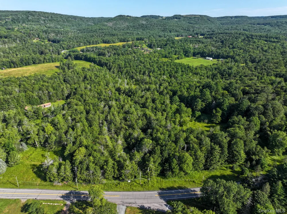 LOT 3 Neversink Road Liberty, NY 12754