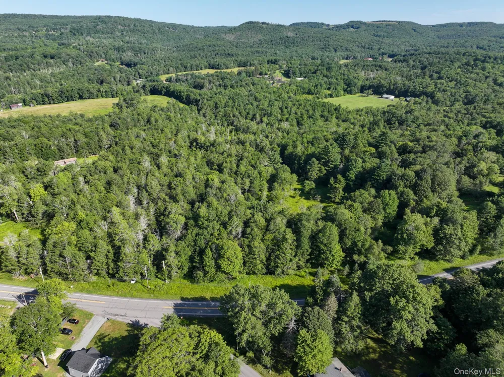 LOT 3 Neversink Road Liberty, NY 12754