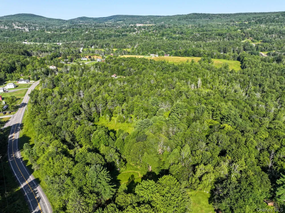 LOT 3 Neversink Road Liberty, NY 12754