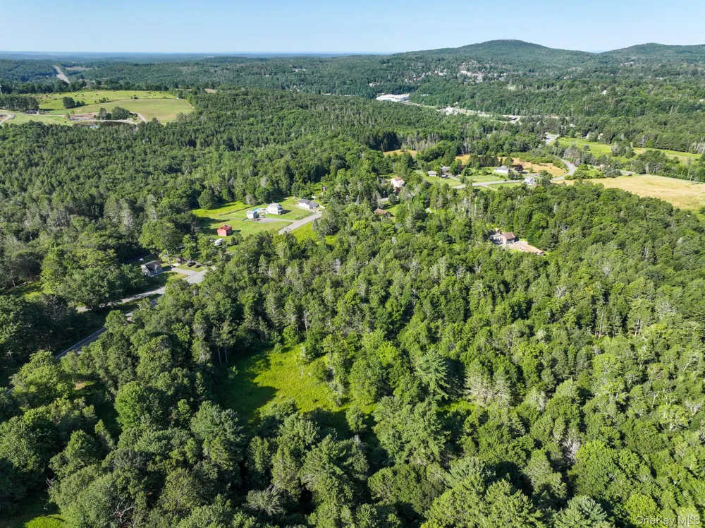 LOT 3 Neversink Road Liberty, NY 12754