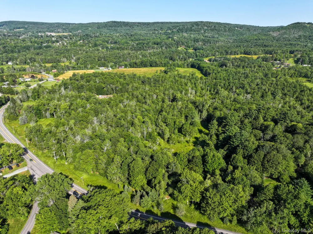 LOT 3 Neversink Road Liberty, NY 12754