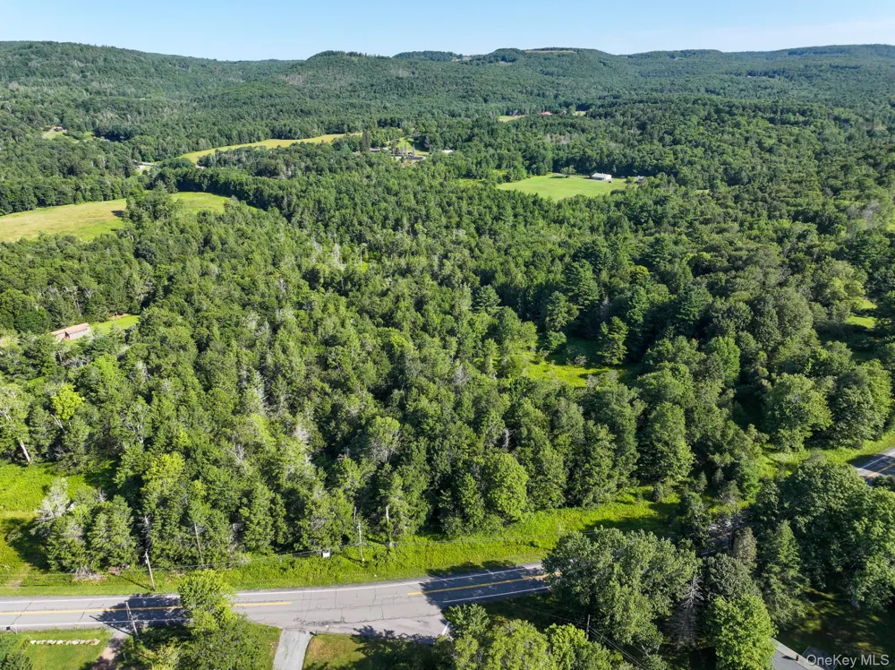 LOT 3 Neversink Road Liberty, NY 12754