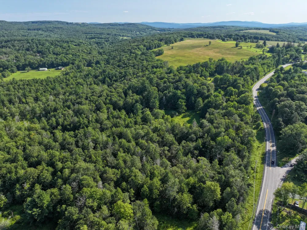 LOT 3 Neversink Road Liberty, NY 12754