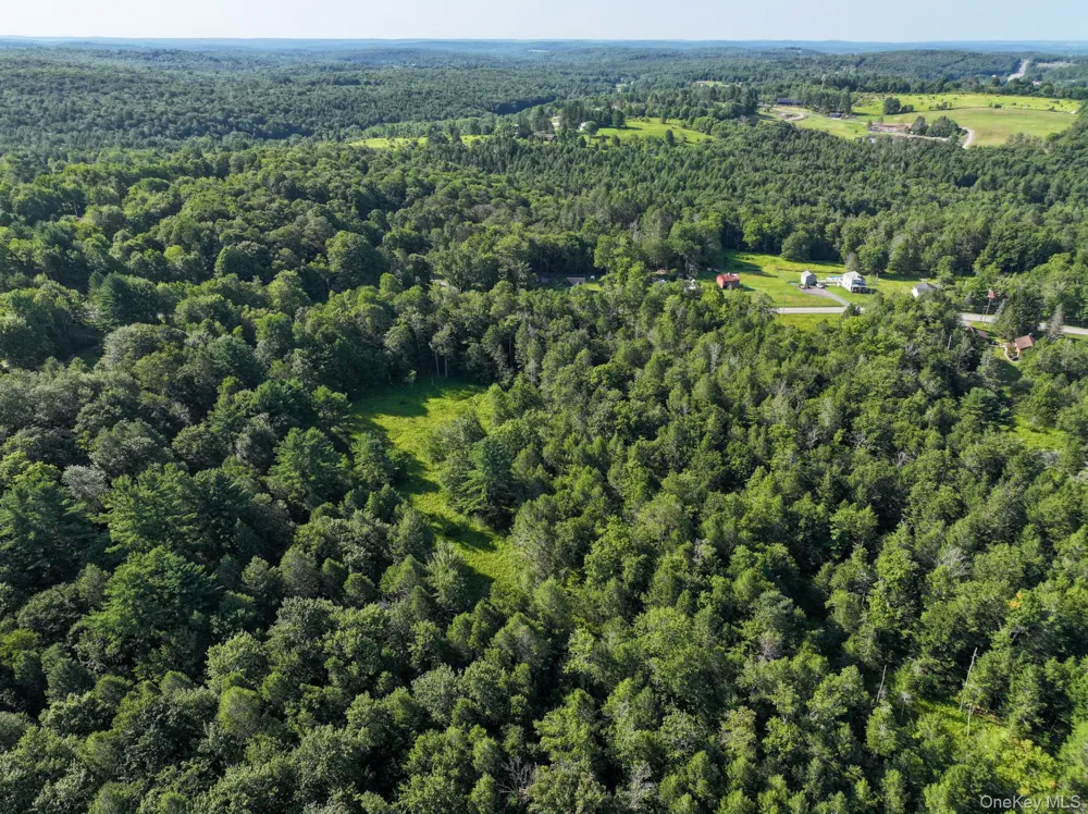 LOT 3 Neversink Road Liberty, NY 12754