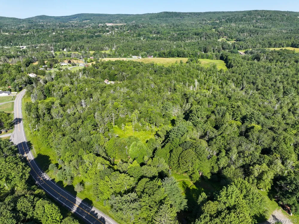 LOT 3 Neversink Road Liberty, NY 12754