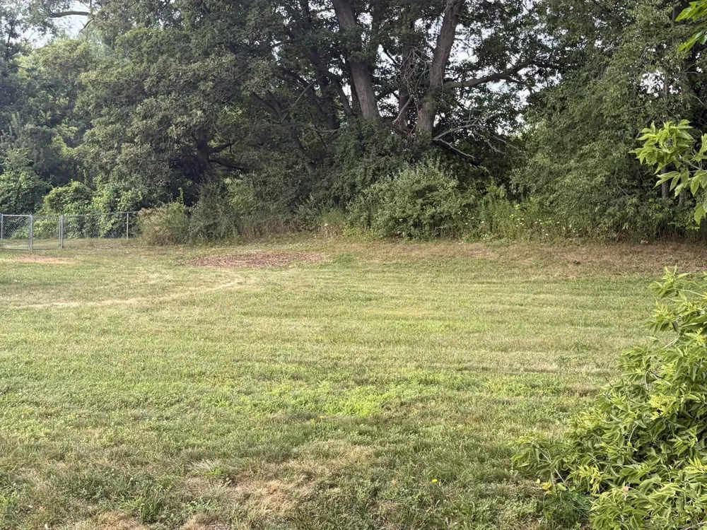 3090 Ripple Way White Lake Charter Township, MI 48383