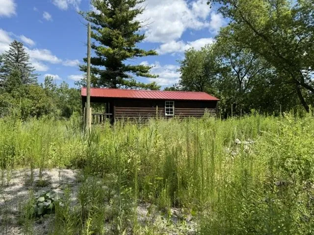2179 Conrad Road Arenac Township, MI 48658