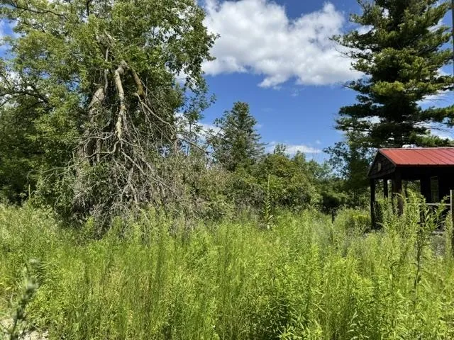 2179 Conrad Road Arenac Township, MI 48658