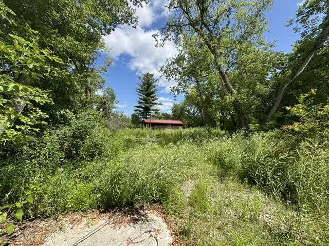 2179 Conrad Road Arenac Township, MI 48658