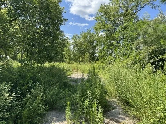 2179 Conrad Road Arenac Township, MI 48658