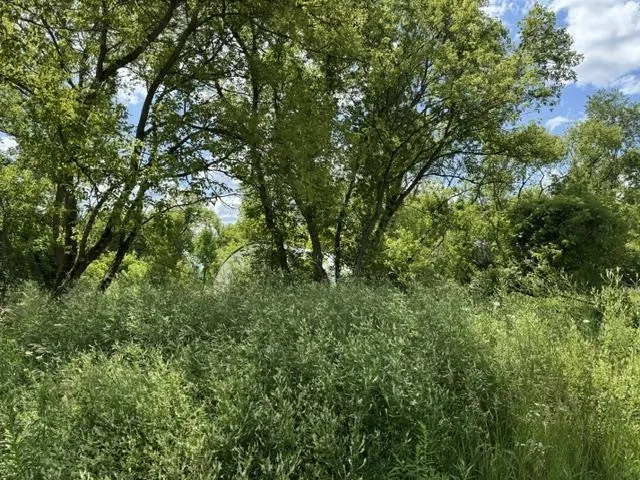 2179 Conrad Road Arenac Township, MI 48658