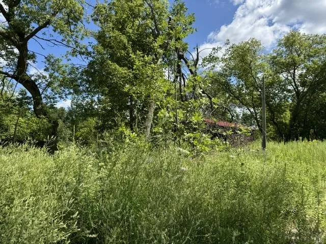 2179 Conrad Road Arenac Township, MI 48658