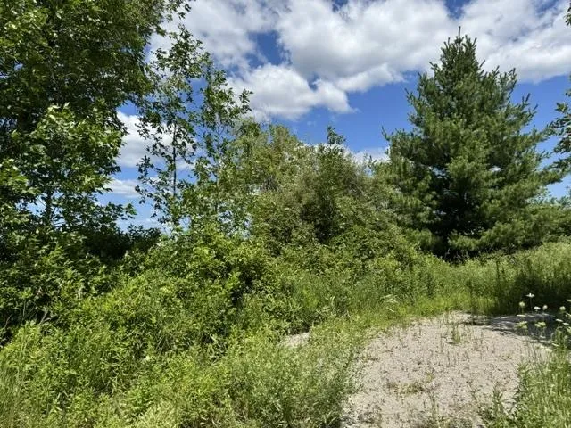 2179 Conrad Road Arenac Township, MI 48658