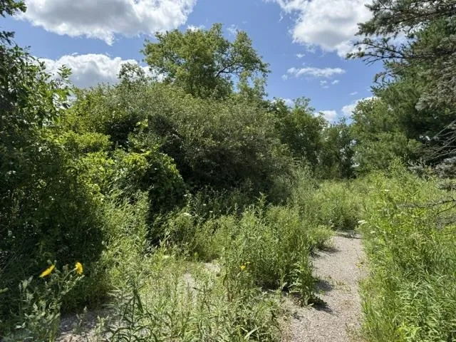 2179 Conrad Road Arenac Township, MI 48658