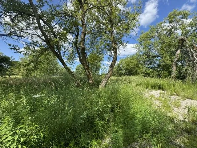 2179 Conrad Road Arenac Township, MI 48658