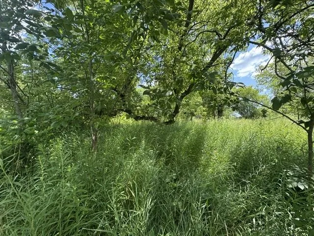 2179 Conrad Road Arenac Township, MI 48658