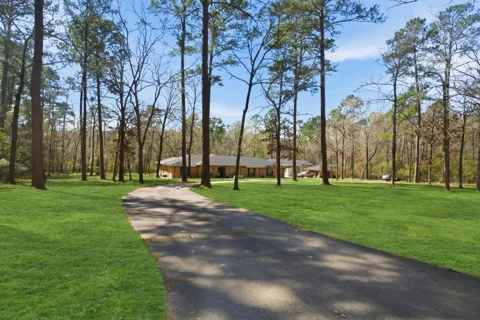 233 Pebble Creek