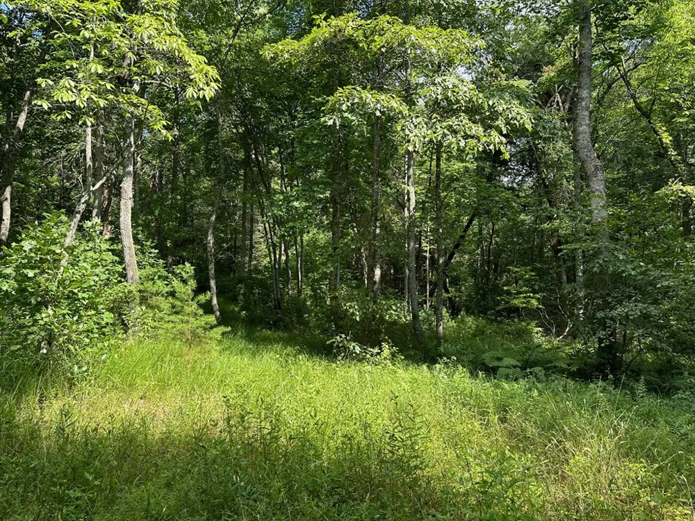 Lot 30 Fairview Drive Morganton, GA 30560