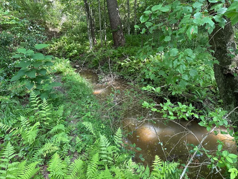 Lot 30 Fairview Drive Morganton, GA 30560