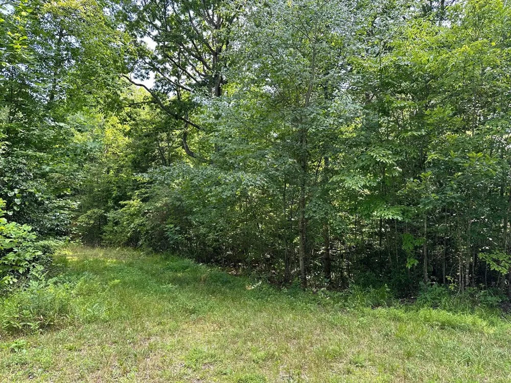 Lot 30 Fairview Drive Morganton, GA 30560