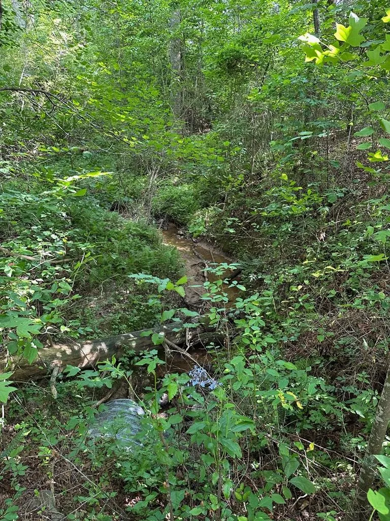 Lot 30 Fairview Drive Morganton, GA 30560
