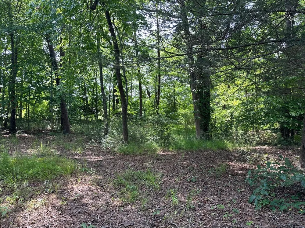 Lot 30 Fairview Drive Morganton, GA 30560