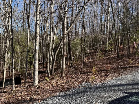 lot 19 Fairview Drive