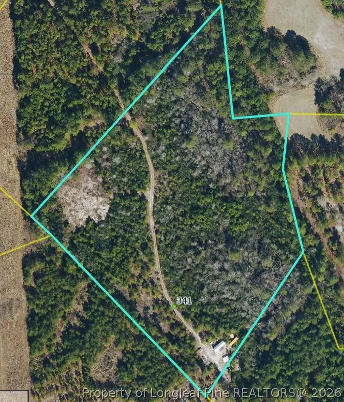 341 Squires Farm Road White Oak, NC 28399