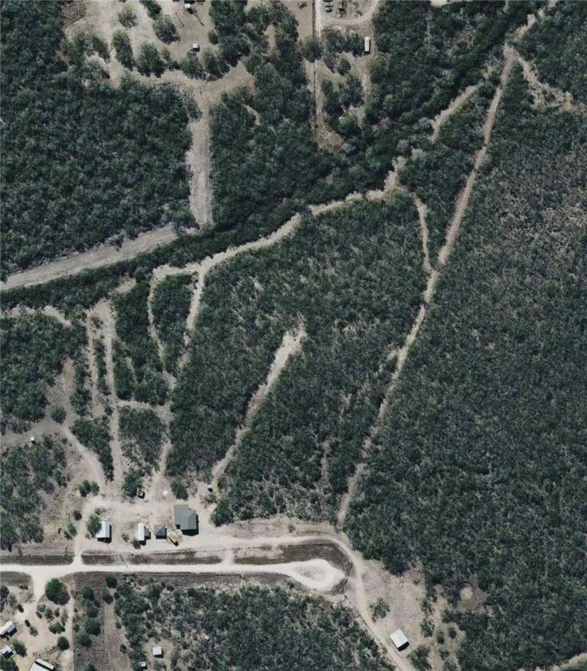 Tract 10- San Diego Creek Ranch San Diego, TX 78384