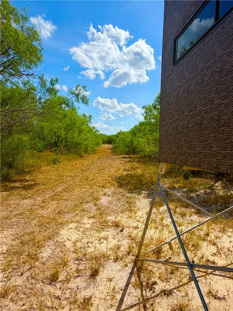 Tract 10- San Diego Creek Ranch San Diego, TX 78384