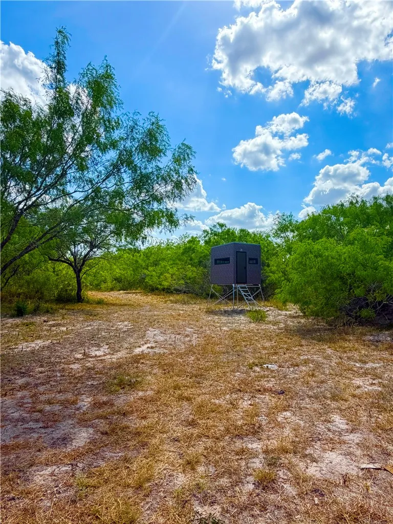 Tract 10- San Diego Creek Ranch San Diego, TX 78384