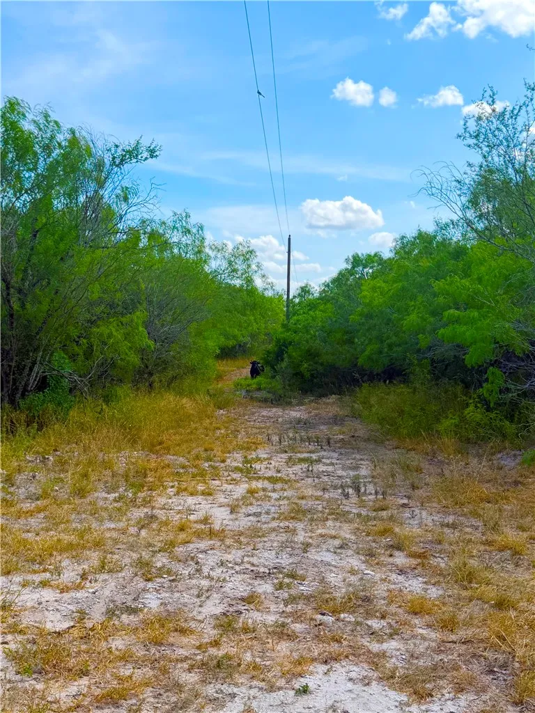Tract 10- San Diego Creek Ranch San Diego, TX 78384