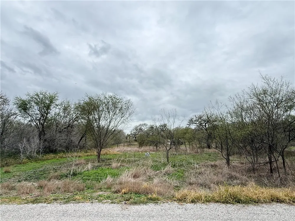 6275 Sandy Hollow Road Robstown, TX 78380