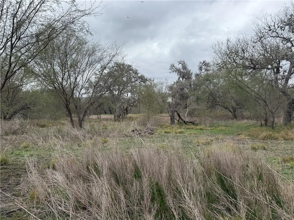 6275 Sandy Hollow Road Robstown, TX 78380