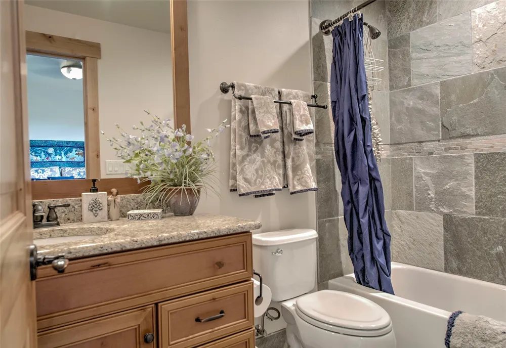 160 Stonefly Drive Silverthorne, CO 80498