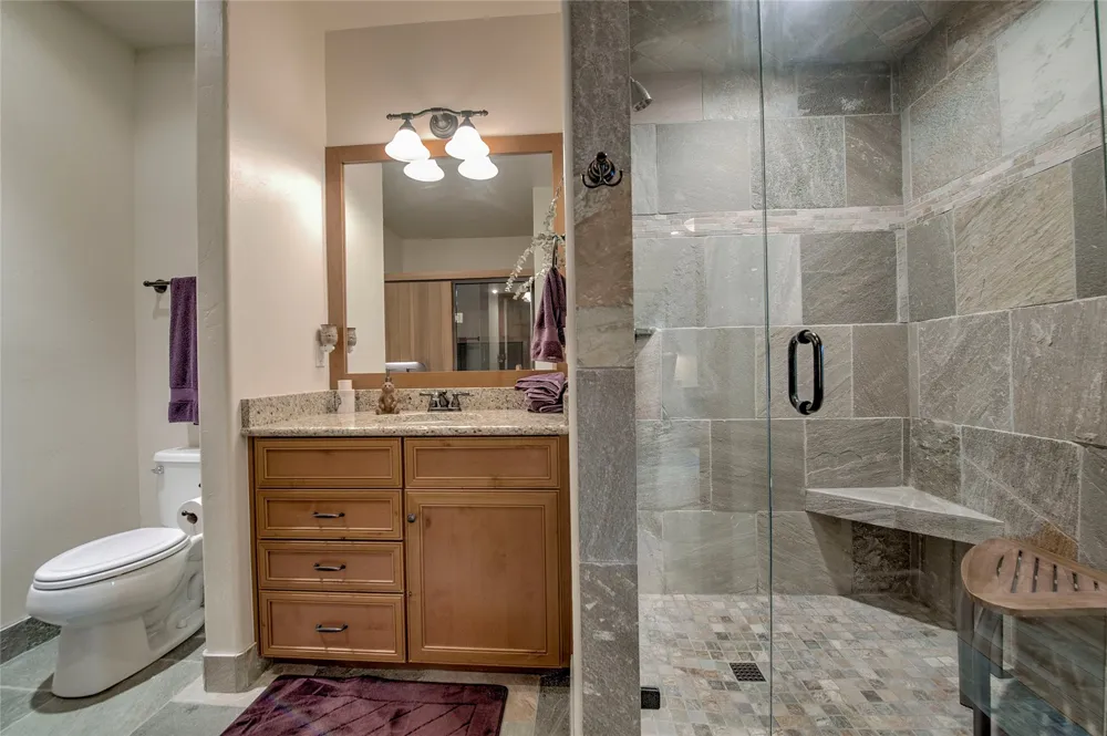 160 Stonefly Drive Silverthorne, CO 80498
