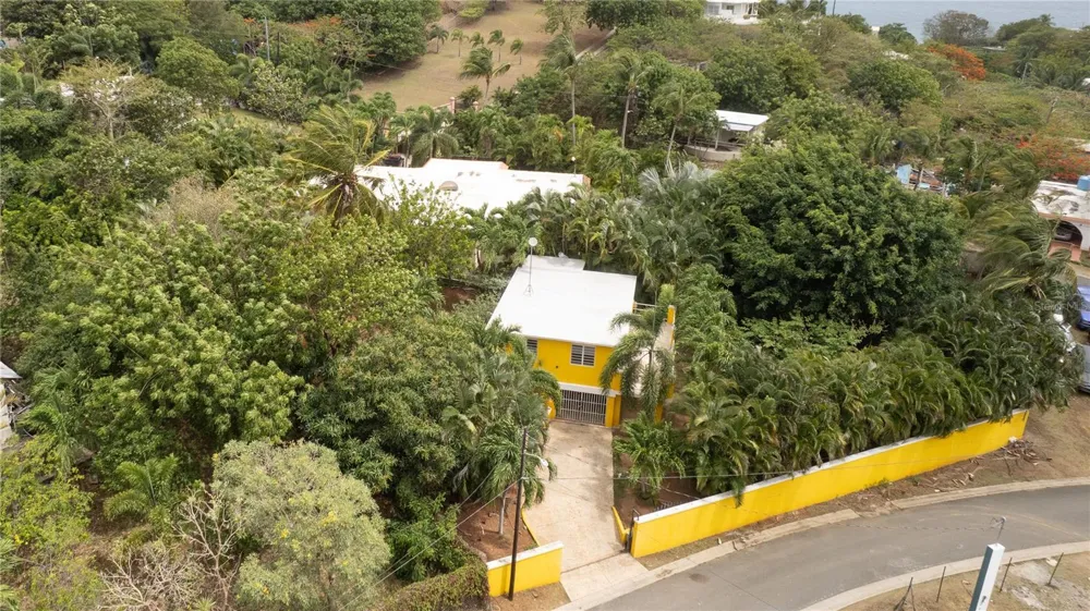 615 BRAVOS DE BOSTON Vieques, PR 00765