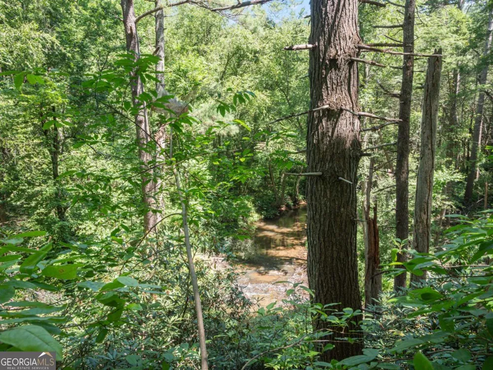 5082 Highway 197 N Clarkesville, GA 30523