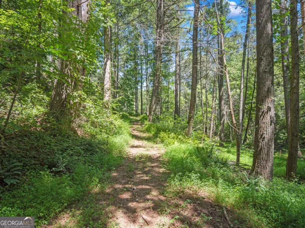 5082 Highway 197 N Clarkesville, GA 30523