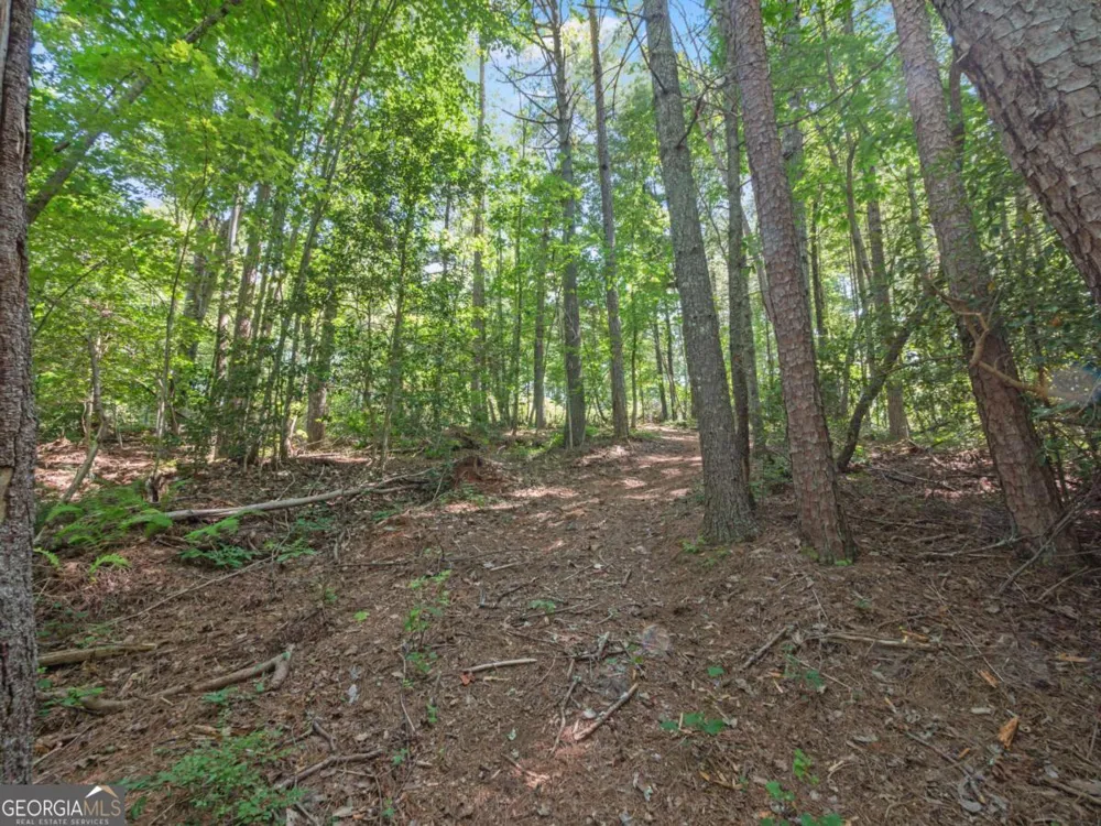 5082 Highway 197 N Clarkesville, GA 30523