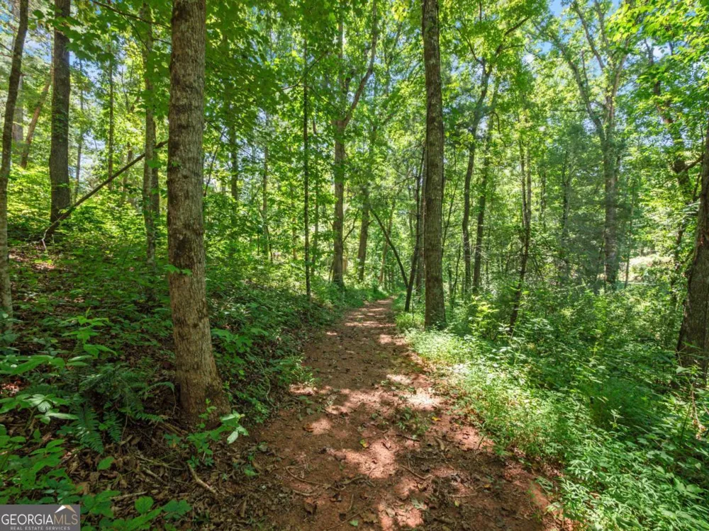 5082 Highway 197 N Clarkesville, GA 30523