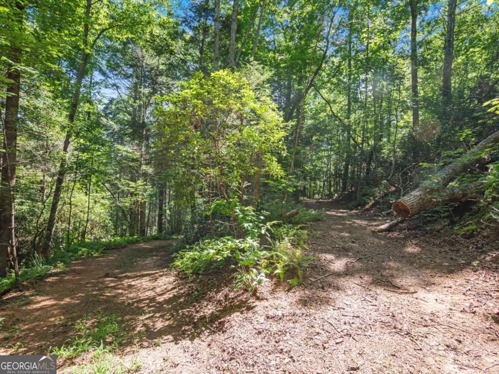 5082 Highway 197 N Clarkesville, GA 30523