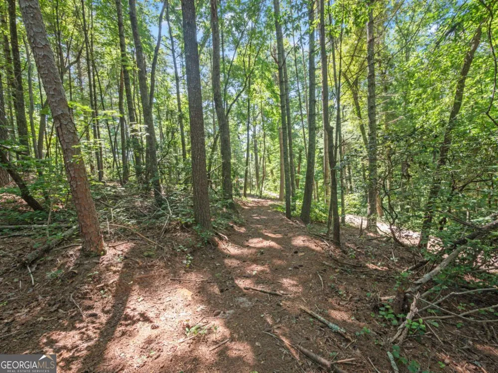 5082 Highway 197 N Clarkesville, GA 30523