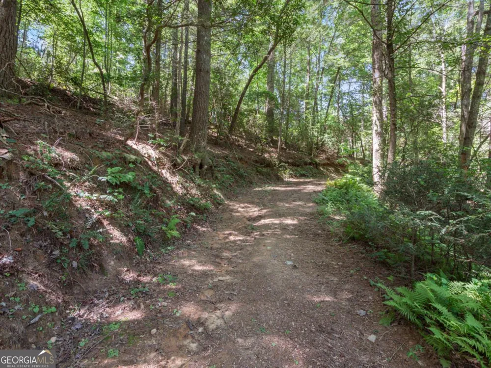 5082 Highway 197 N Clarkesville, GA 30523