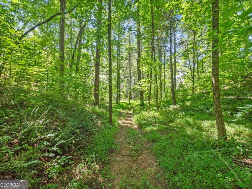 5082 Highway 197 N Clarkesville, GA 30523