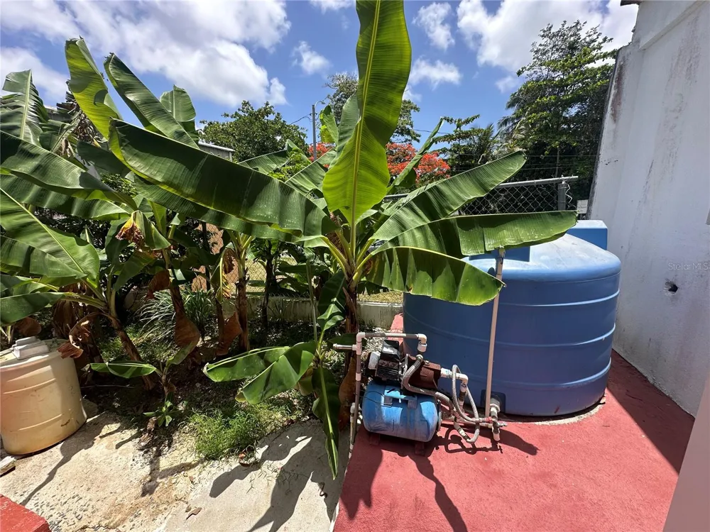 calle 5 COMUNIDAD RURAL VILLA BORINQUEN Canovanas, PR 00729